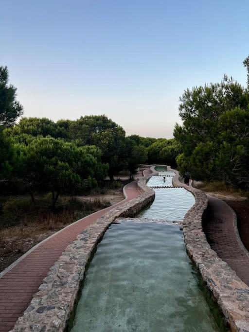 Apartament Viajeros Vinamar VII La Mata  Extérieur photo